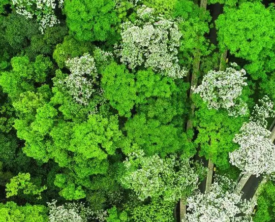 经开区多部门联合执法 共筑安全环保双防线