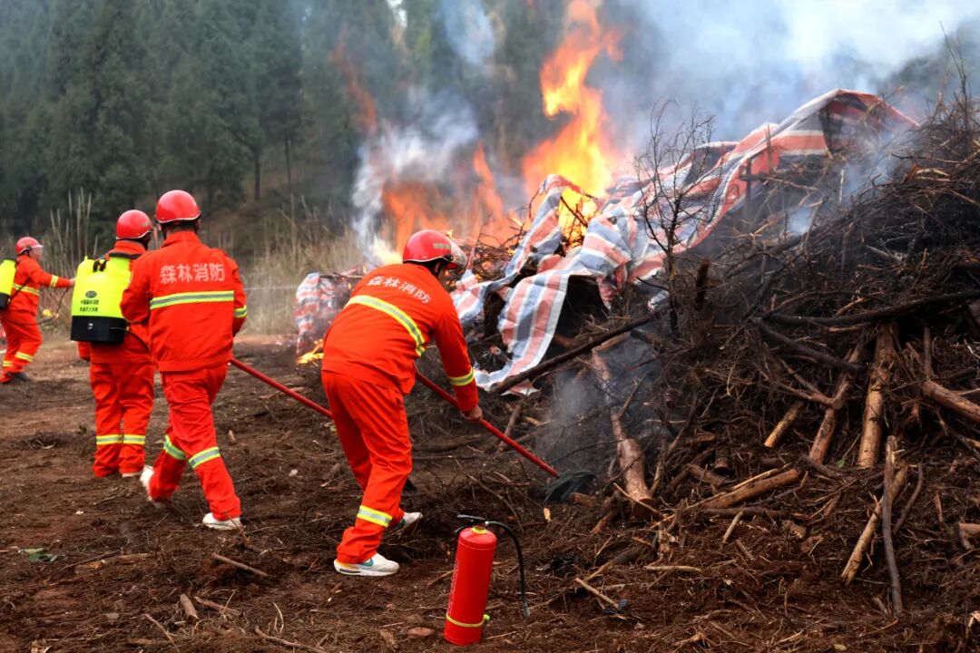 聚焦实战锤炼队伍 筑牢森林“防火墙” 四川省遂宁市举行2026年度森林火灾应急演练