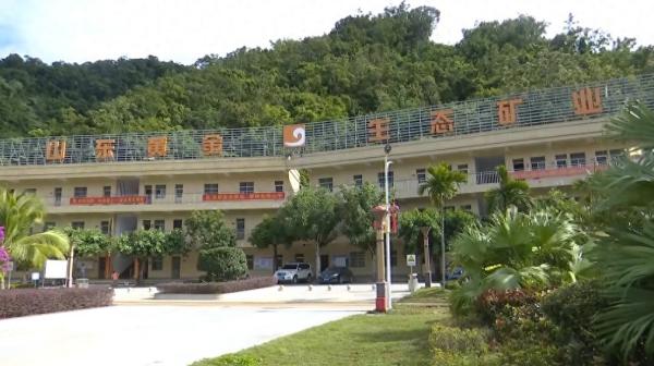 海南矿山逆袭记：从“生态伤疤”到“绿色高地”，这波操作太秀了！