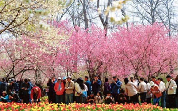 8.4亿人次！假日经济撬动全链条消费活力