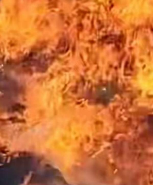 9岁女孩点燃野草 父亲扑火身亡 家属称被要求灭完再走 官方：有出入